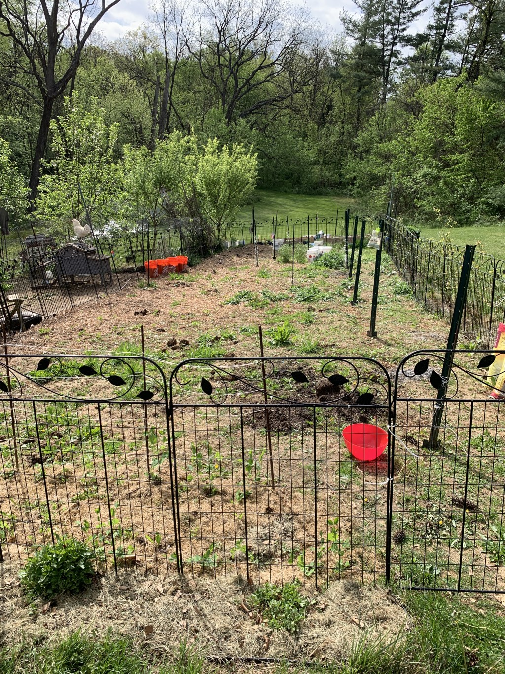 Garden Clean Up&nbsp;Day