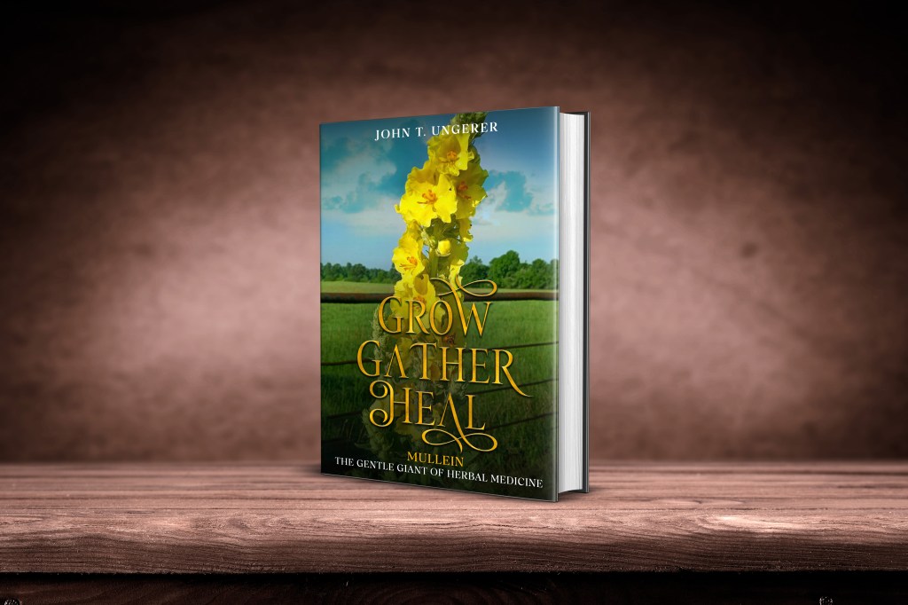 New Books – Mullein and Purple Dead&nbsp;Nettle