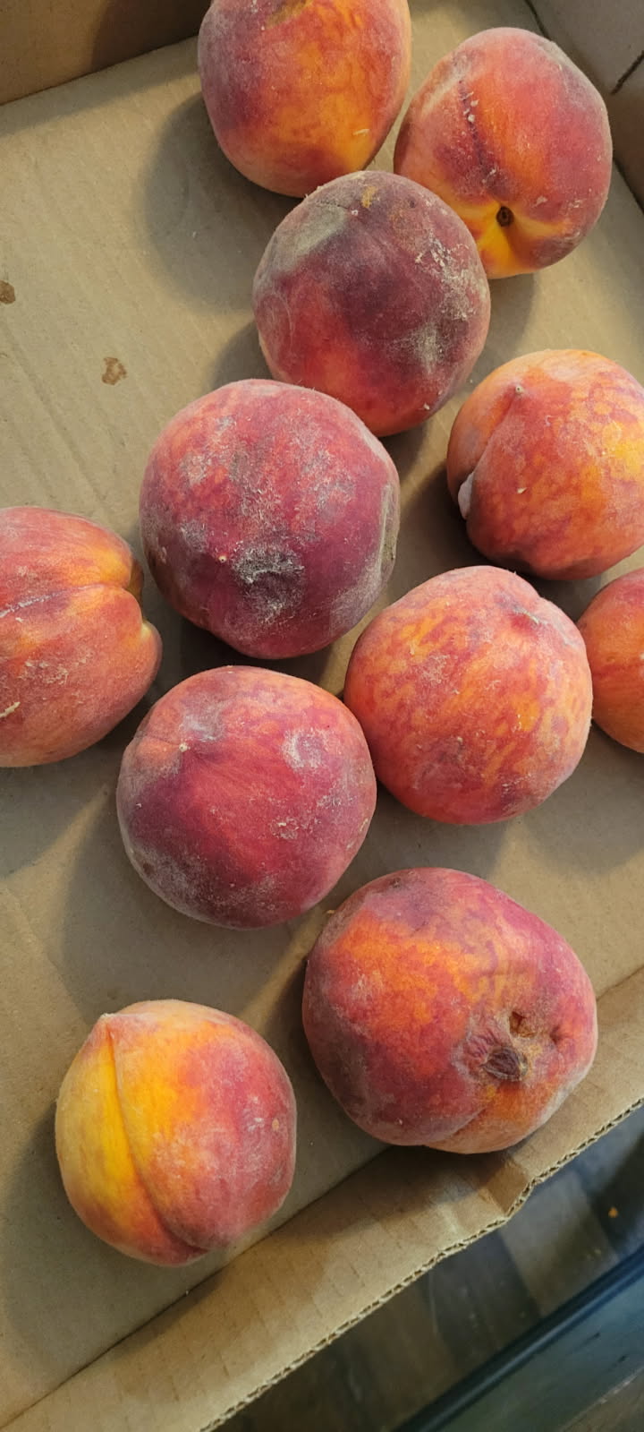 From Scraps to Sweetness: Making Peach Peel&nbsp;Jelly