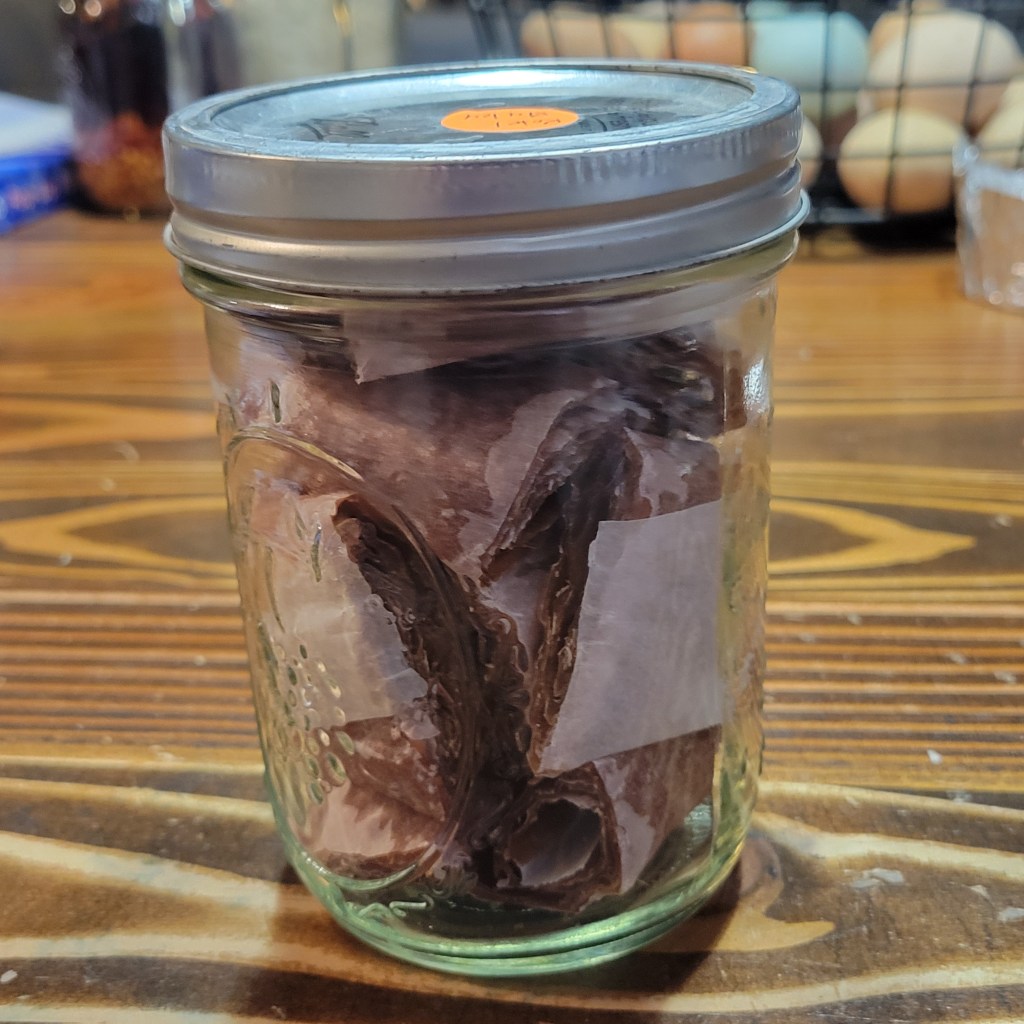 Homemade Kombucha SCOBY Fruit Leather