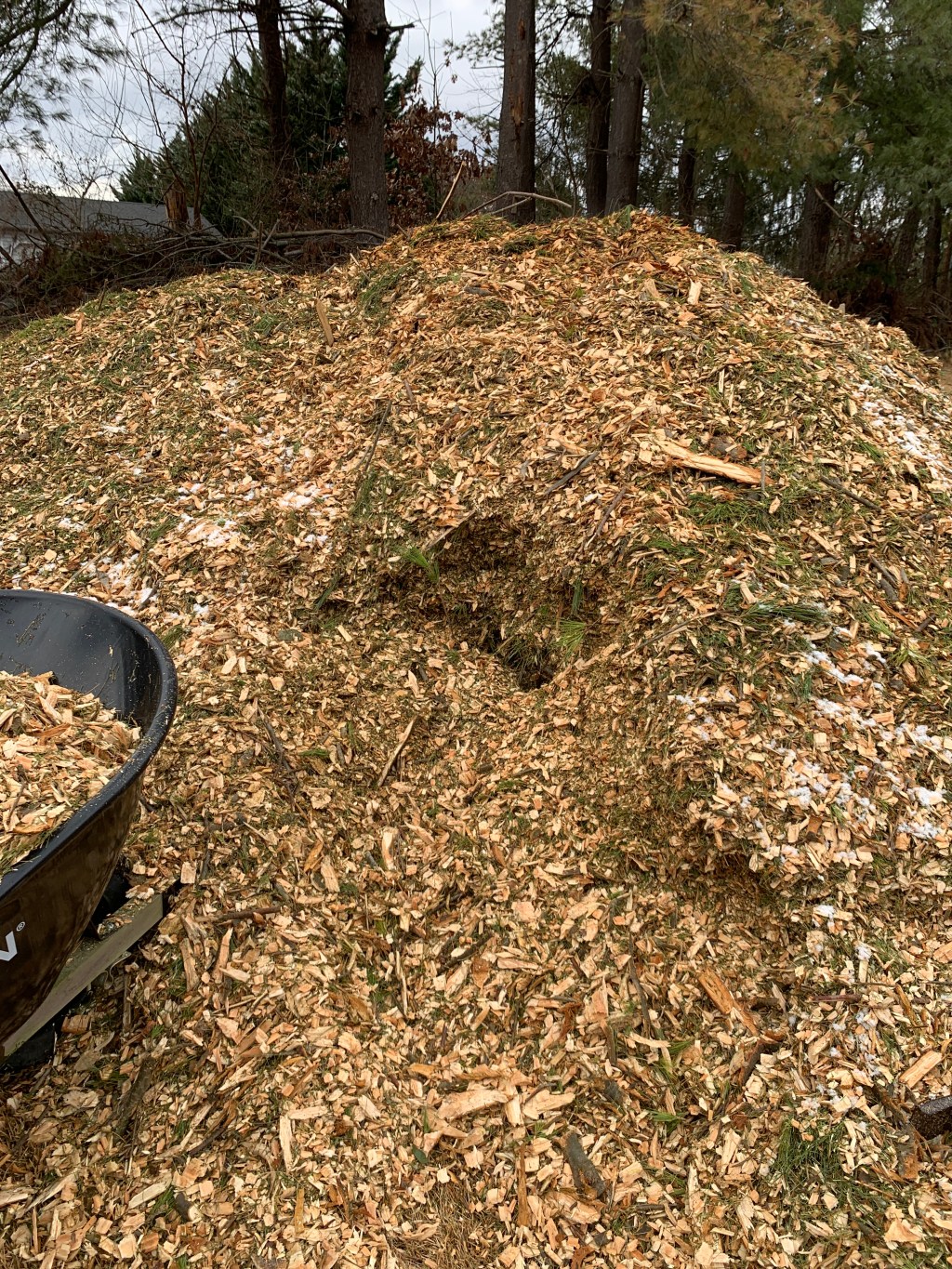 Winter Garden Prep: Winning the War on Weeds with Wood Chips