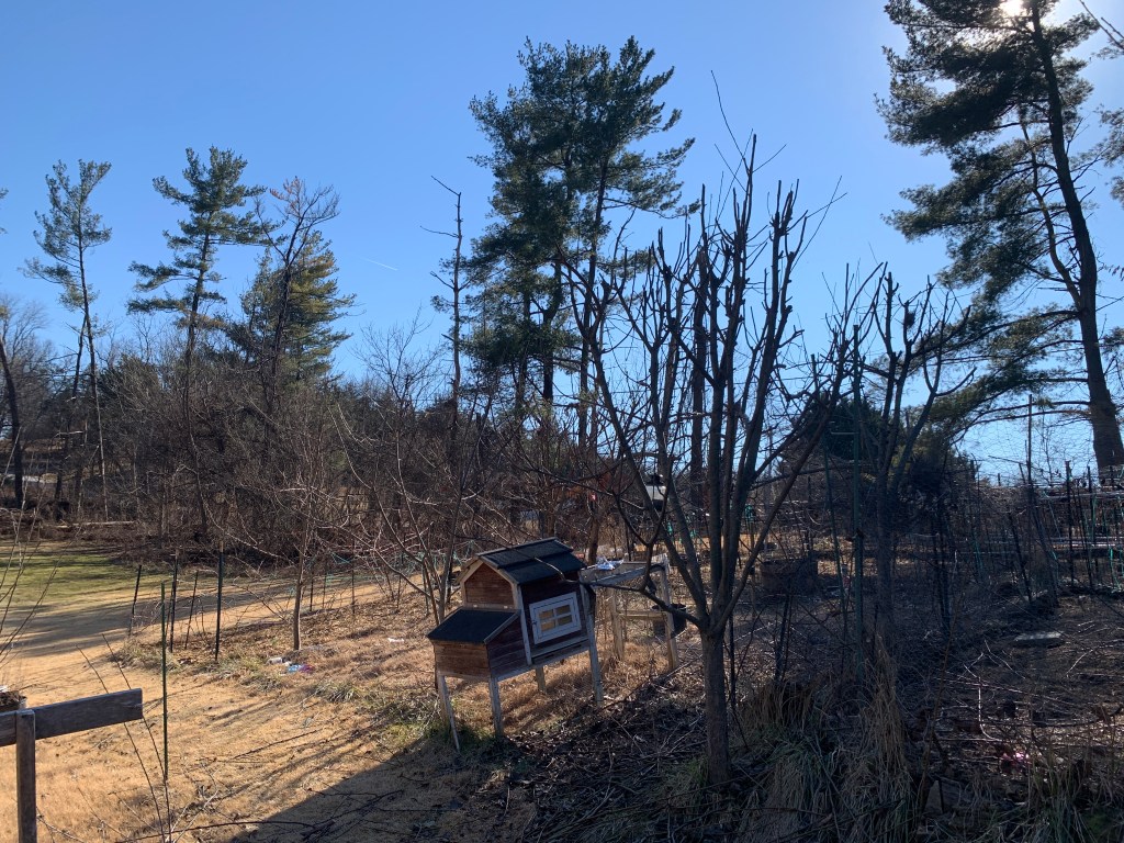 Homestead Update: Pruning the Orchard, Sandbox Propagation, and a Battery-Powered Game&nbsp;Changer