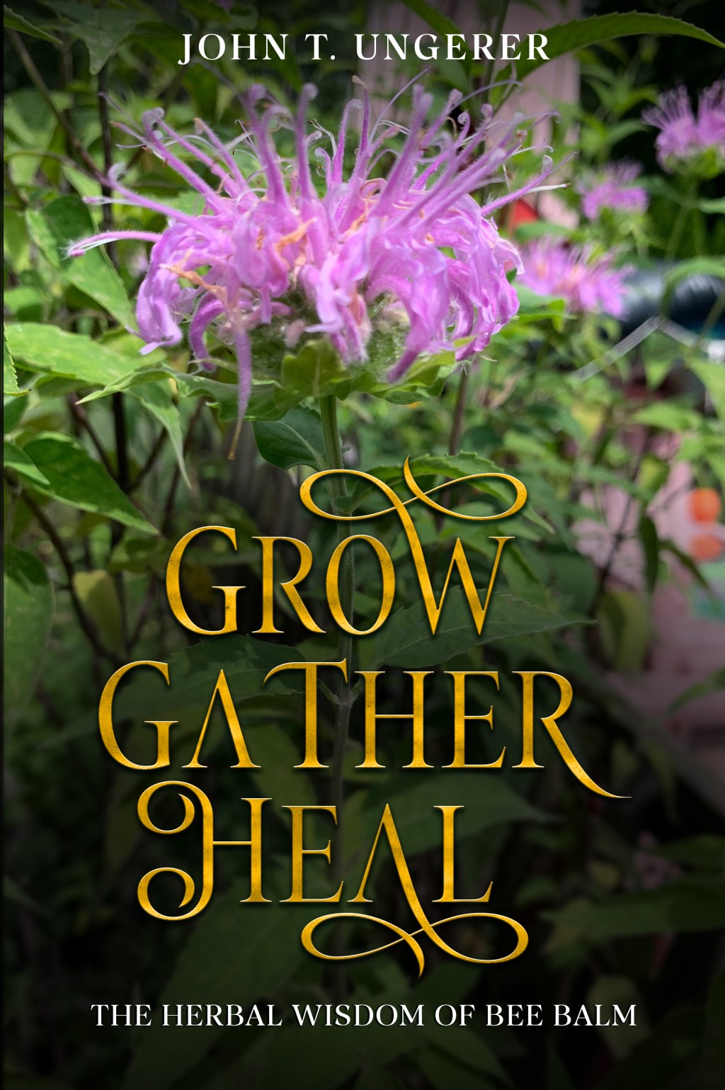 Grow, Gather, Heal: The Herbal Wisdom of Bee&nbsp;Balm