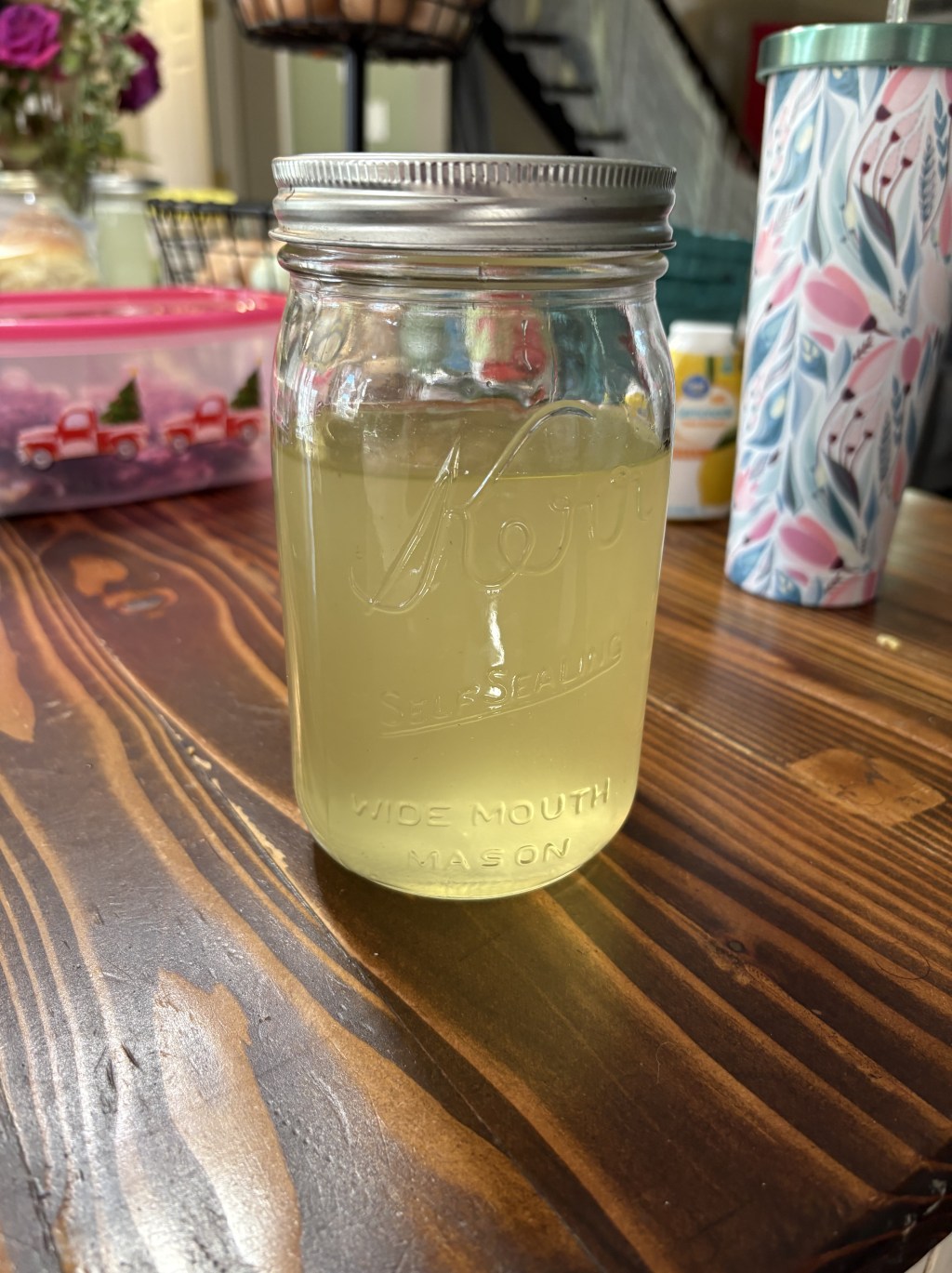 The Many Gifts of Elder: Making Small-Batch Elderflower Cordial