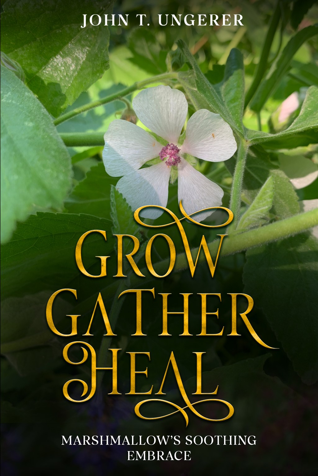 Grow, Gather, Heal: Marshmallow’s Soothing&nbsp;Embrace